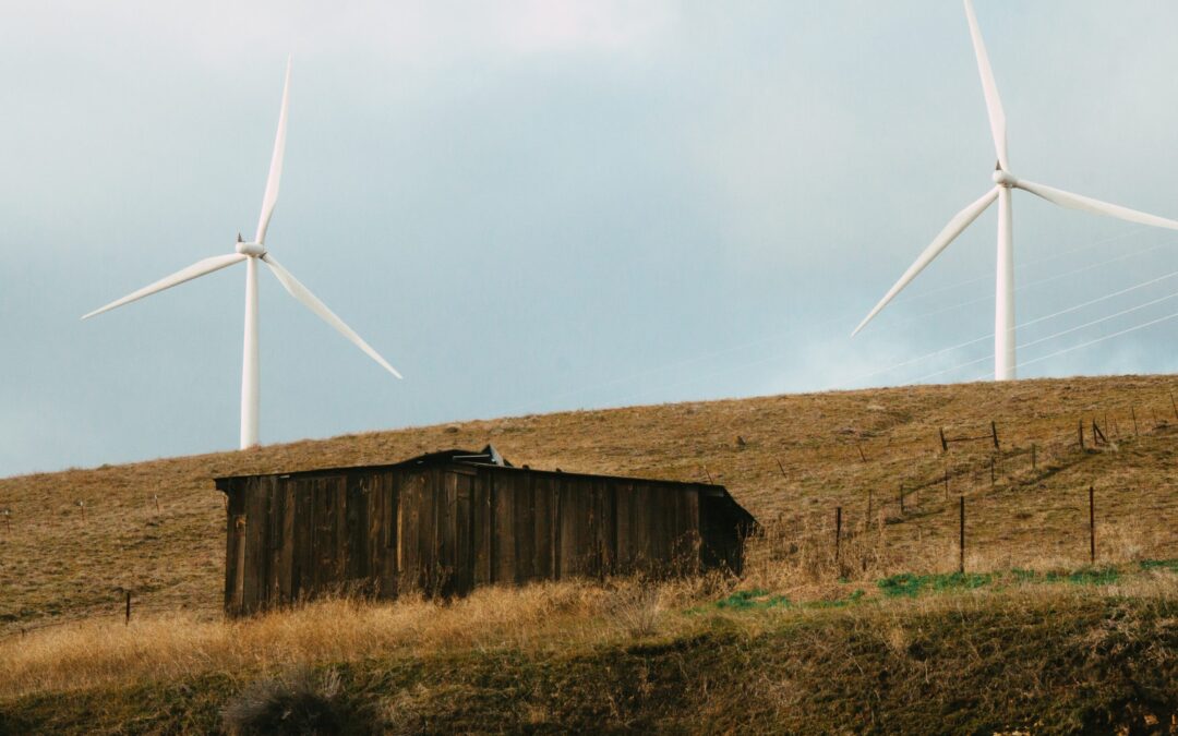From Disruption to Stabilization: A Functional Governance  Perspective on the Renewable Energy Transition  in Montenegro